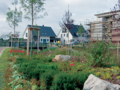 Frühlingserwachen im Baugebiet Schultenkamp