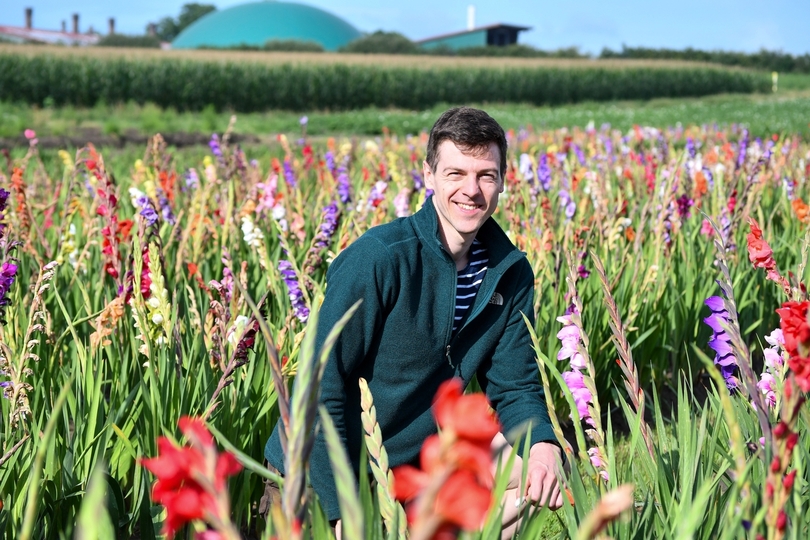 Faszination Selbstpflücke: In Kirchhellen blühen die Blumenfelder kunterbunt
