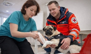Praxisnaher Erste-Hilfe-Kurs für Hundehalter in Schermbeck