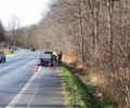Krötenretter gesucht: Der NABU Bottrop sucht nach Helfern