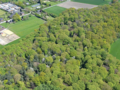 Vernässung im Kirchhorst - Das Waldgebiet Kirchhorst im Blick