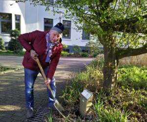 Das verlorengegangene Schild am Baumlehrpfad in der Gladbecker Innenstadt wurde vom Gladbecker Heimatverein zurückgebracht und korrigiert.
