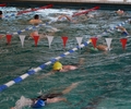 DLRG lädt zum 24-Stunden-Schwimmen