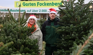 Wo es in Kirchhellen die schönsten Weihnachtsbäume gibt: Alle Termine und Angebote