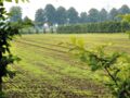 Landwirte in Kirchhellen sagen Danke