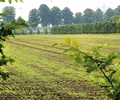 Landwirte in Kirchhellen sagen Danke
