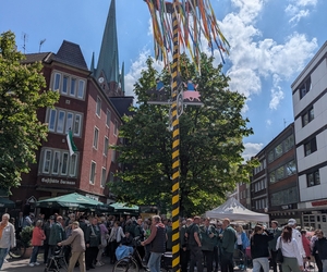 Frühlingsbote steht wieder in der Innenstadt
