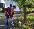 Das verlorengegangene Schild am Baumlehrpfad in der Gladbecker Innenstadt wurde vom Gladbecker Heimatverein zurückgebracht und korrigiert.