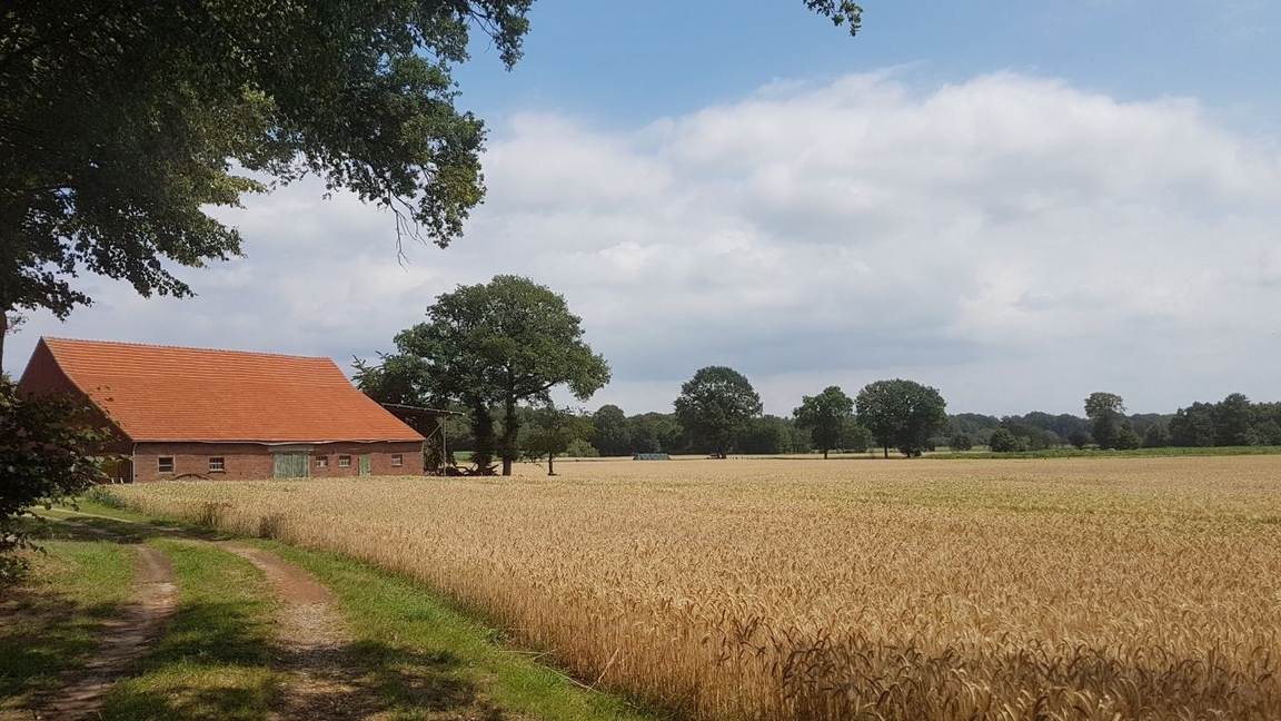 Reiseblogger Matthias Berns hat die Gemeinde Schermbeck für eine Radtour besucht. Im Interview mit der LebensArt Redaktion erzählt er über seine Erlebnisse