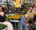 Senioren aus dem Haus St. Johannes pflanzten Blumen