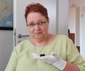 Krankenstation für  kleine Kobolde der Nacht