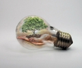 Hitze und Klimaanpassung:
