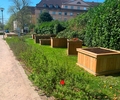 Interkulturelle Hochbeetgarten-Initiative Jovyplatz eröffnet Gartensaison