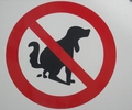 Stadt setzt auf Kontrolle und Aufklärung von  Hundehalter