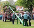 Schützenverein Grafenwald stellt den Maibaum auf
