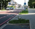Begrünung der Schneiderstraße startet im Spätherbst