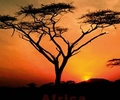 Südafrika lädt zu einem Urlaub voller Abenteuer ein