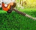 Gartenabfälle korrekt entsorgen