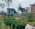 Frühlingserwachen im Baugebiet Schultenkamp