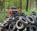 Illegale Müllentsorgung: Stadt Dorsten sucht Zeugen