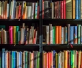 Stadtbibliothek und BiBi am See öffnen ab Freitag wieder