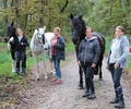 Reiter ärgern sich über schlechte Zustände in der Kirchheller Heide