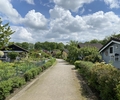 Urlaubsfeeling im Kleingarten
