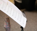 Unter Einhaltung der Corona-Maßnahmen kann der Unterricht an der Musikschule der Stadt Gladbeck stattfinden