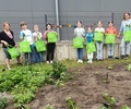 Schülergarten am Vestischen Gymnasium wächst und gedeiht