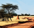Nachricht aus Ruanda