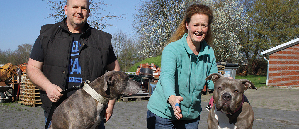 Hohe Auflagen Fur Listenhunde In Schermbeck Lebensart Regional