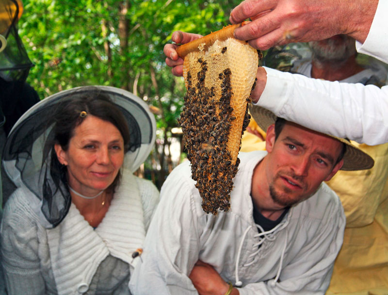 Bei einem Imkerkurs in Gladbeck lernen Interessierte, wie Bienen wesensgerecht gehalten werden und was bei einer Bienenhaltung im eigenen Garten zu beachten ist.